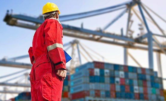 servicios logisticos